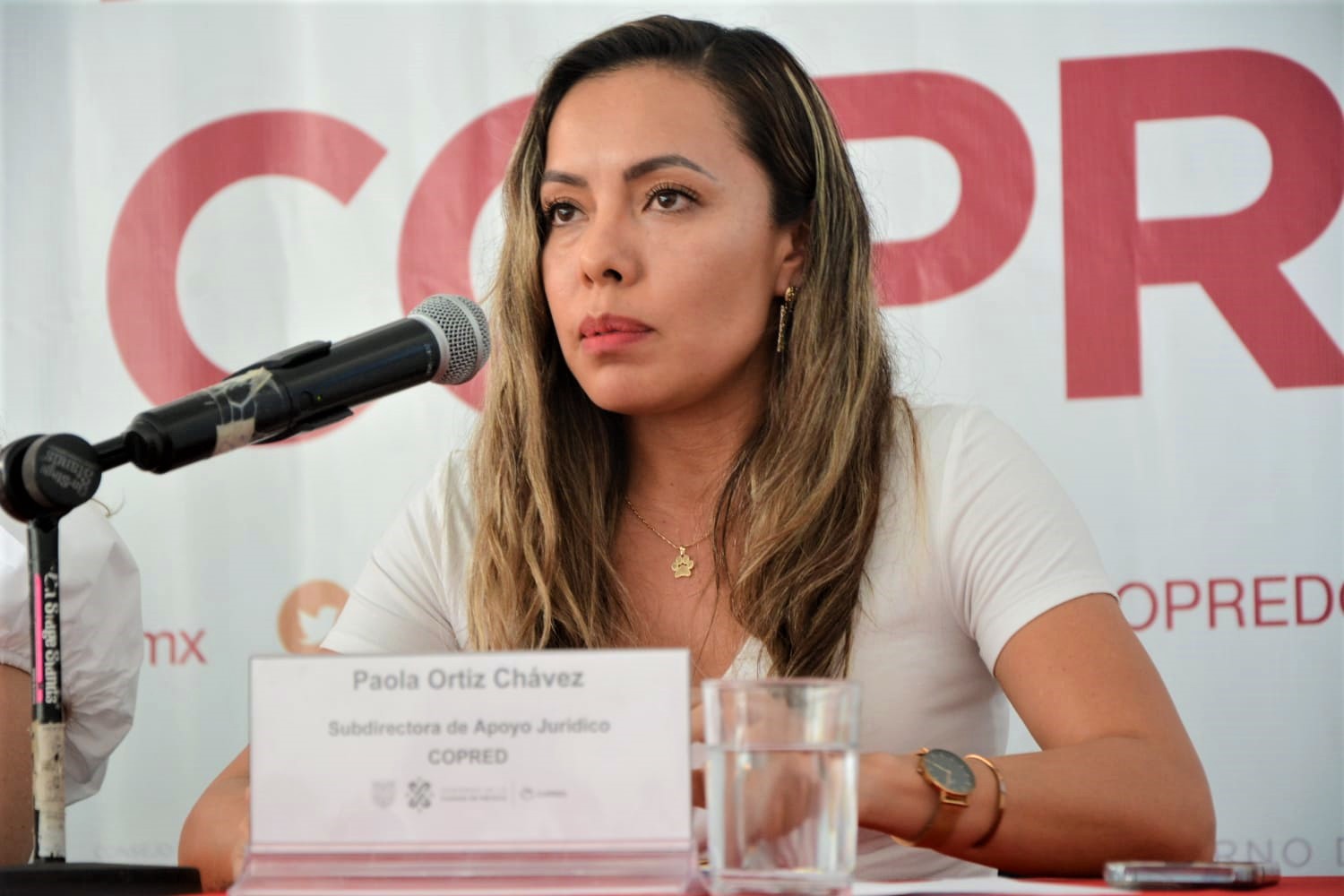 Paola Ortiz Chávez, Subdirectora de Apoyo Jurídico del COPRED.